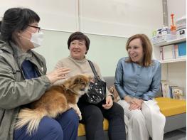 서울시, 유기견 `니코` 브라질 대사의 반려견 되다 기사 이미지