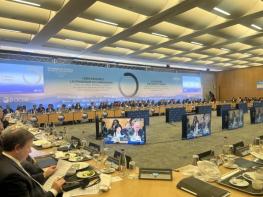 외교부, 2024 OECD 각료이사회 참석, AI 서울 정상회의 개최 홍보 기사 이미지
