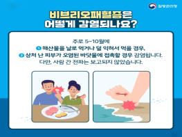 경남도, 어패류 생식·바닷물 접촉 조심! 여름철 ‘비브리오패혈증’ 주의하세요 기사 이미지