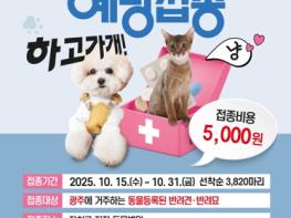 광주광역시, 반려견·반려묘 광견병 예방접종 실시 기사 이미지