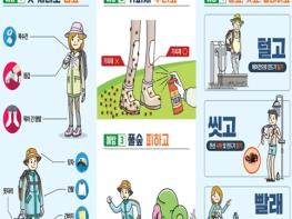 광주광역시, 쯔쯔가무시증 10∼11월 80% 발생…야외활동 주의 기사 이미지