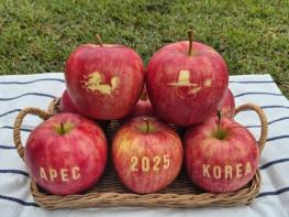 경북 케이 애플(K-APPLE), 2025년 APEC 정상회의에서 세계와 만나다 기사 이미지