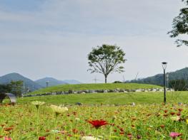 안성시, 올해 금광호수 박두진문학길 관광객 30만명 돌파 기사 이미지