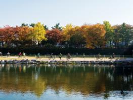 단풍과 함께 달리는 대구 힐링 라이딩 코스 7선! 기사 이미지