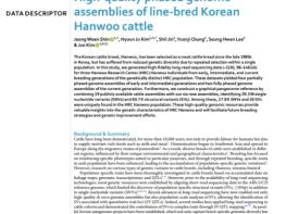 농촌진흥청, 한우 고품질 유전체 지도 국내 첫 확보…정밀 육종 기반 마련 기사 이미지