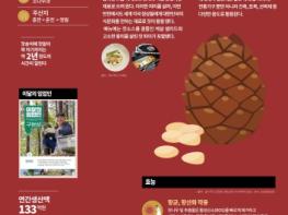산림청, 12월 이달의 임산물로 ‘잣’ 선정 기사 이미지