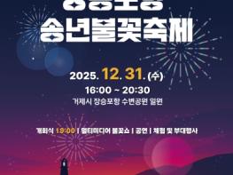 한 해의 끝자락, 장승포항 밤하늘을 수놓다 기사 이미지
