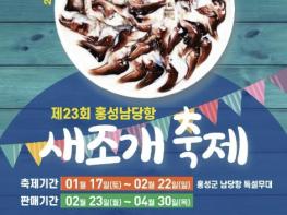 홍성군, 1년을 기다린 전국 미식가 남당항 앞으로! 겨울철 별미 홍성 남당항 '새조개' 남당항에 귀환 기사 이미지