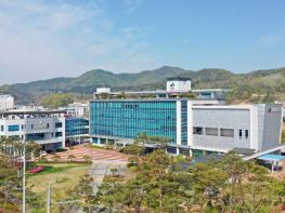 임실군, 저소득층 노인 무릎인공관절 수술비 지원 기사 이미지