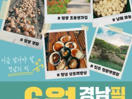 “초여름의 맛과 멋, 경남에서 즐기세요!” 경남도, 오감 만족 ‘6월 경남픽(Pick)’ 공개 기사 이미지