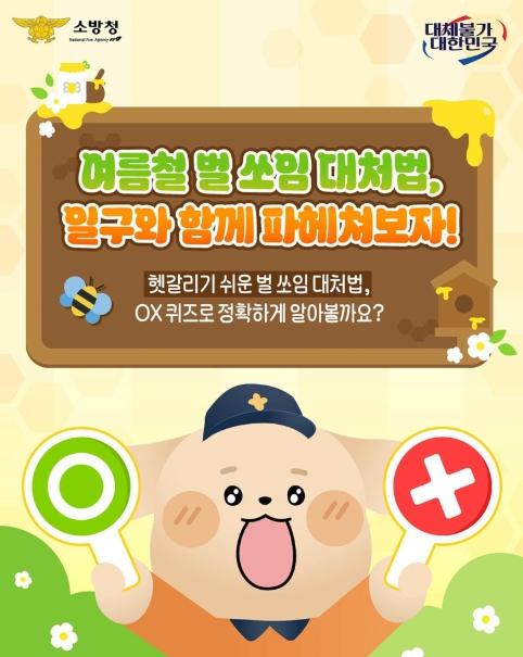 소방청, 헷갈리기 쉬운 벌 쏘임 대처법 기사 이미지