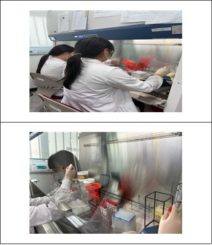 대구시, 2026-2027절기 첫 독감 바이러스 검출… 작년보다 한 달 빨라