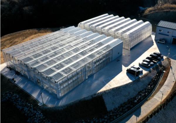 경상남도산림환경연구원, 경상국립대학교에 ‘멀꿀’ 200본 분양 기사 이미지
