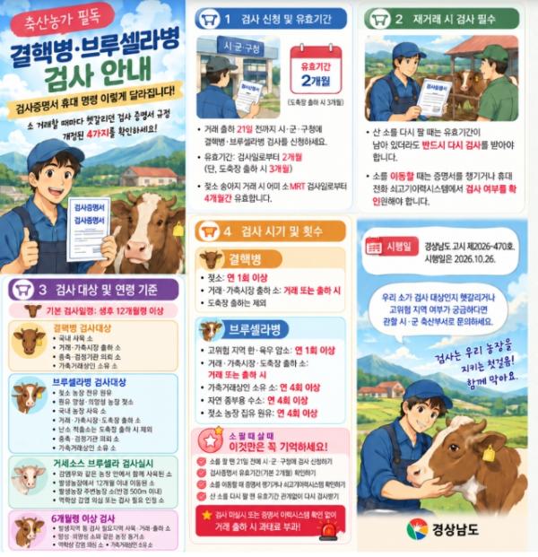 경남도, 26일부터 소 재거래 시 결핵·브루셀라병 재검사 의무화 기사 이미지